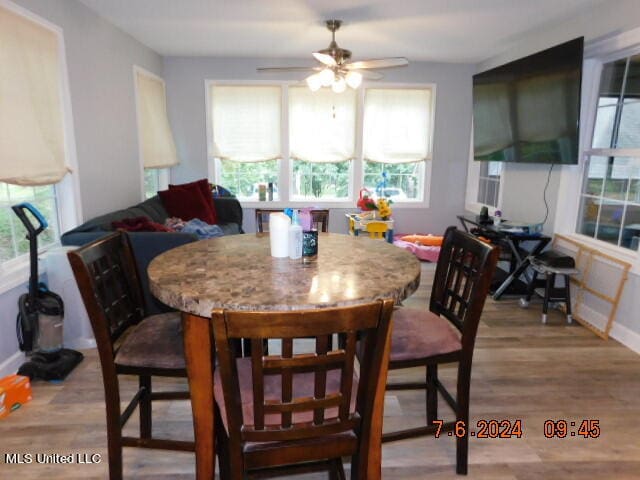 dining room with light hardwood / wood-style floors and ceiling fan