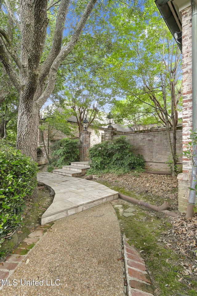 view of yard featuring a patio area