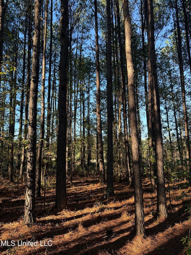Factory Rd, Eupora, MS 39744