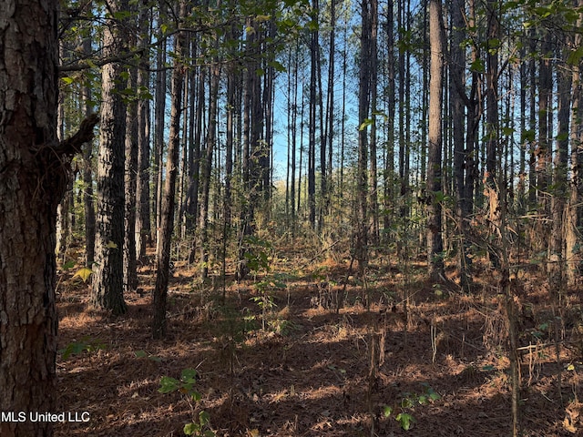 Factory Rd, Eupora, MS 39744
