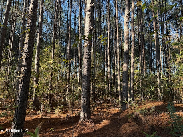 Factory Rd, Eupora, MS 39744