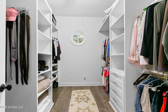 walk in closet with dark hardwood / wood-style floors