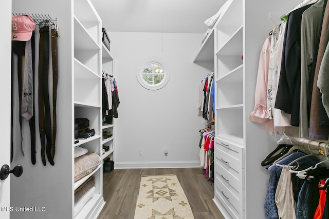 3844 Hawthorn Dr, Jackson, MS 39216 - spacious closet with dark wood-type flooring