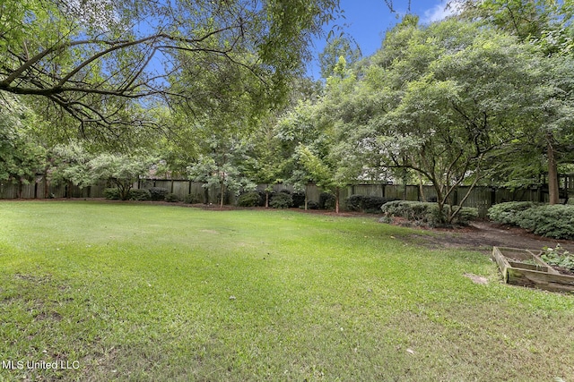 3844 Hawthorn Dr, Jackson, MS 39216 - view of yard featuring a vegetable garden and a fenced backyard