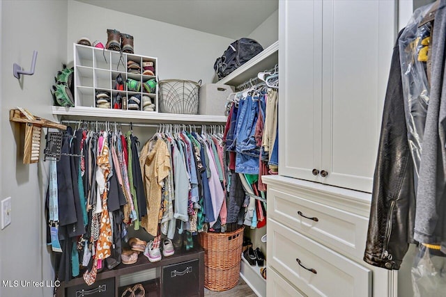 walk in closet featuring wood finished floors