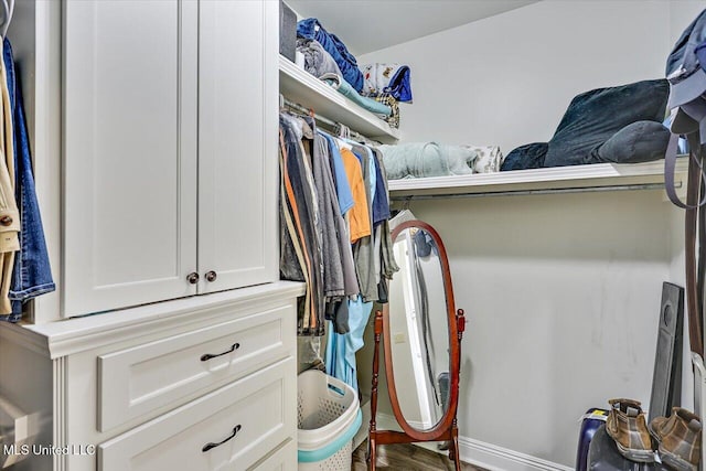 walk in closet featuring wood finished floors