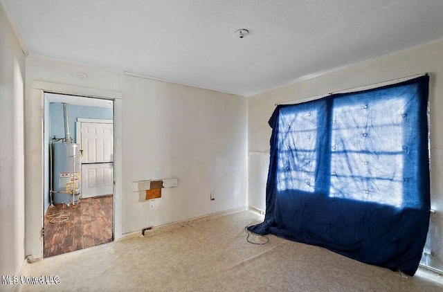 spare room featuring crown molding, carpet, and gas water heater