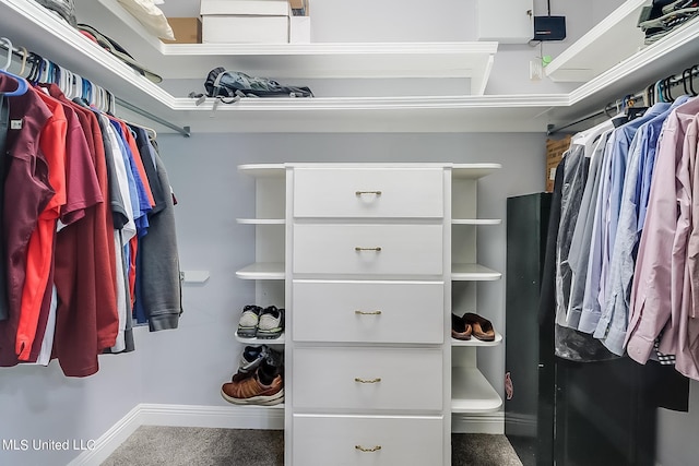 spacious closet featuring carpet floors