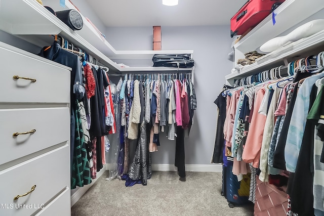 walk in closet featuring carpet flooring