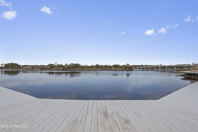 dock area featuring a water view