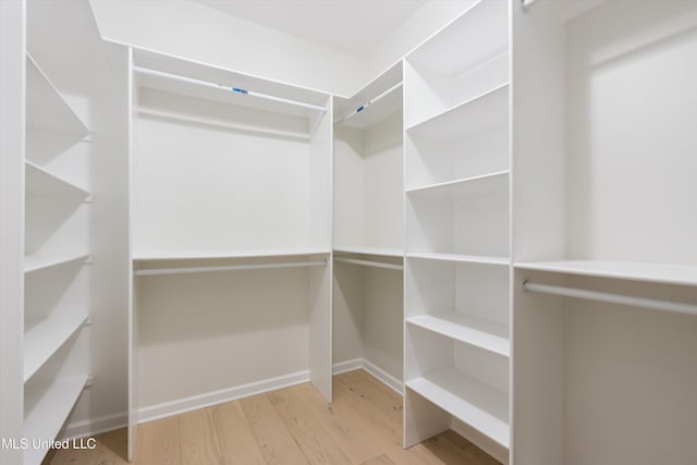 spacious closet featuring light wood-type flooring