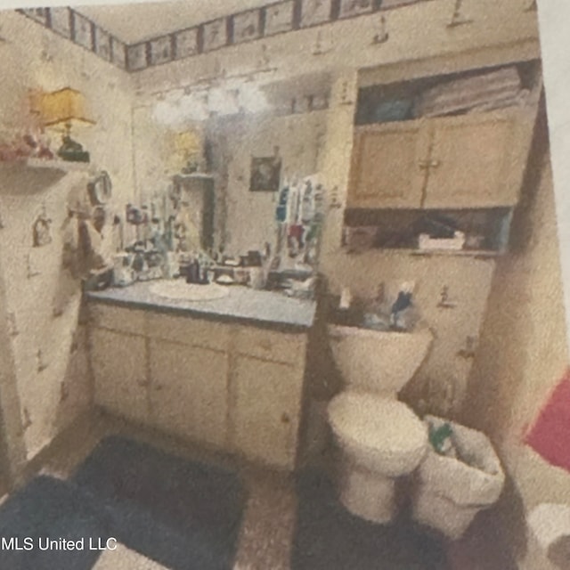 bathroom with toilet and vanity