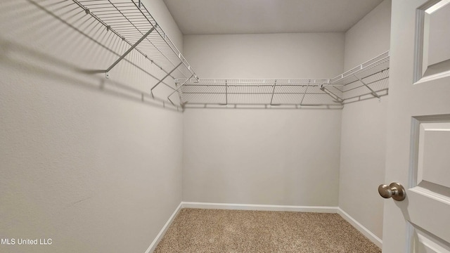 walk in closet with carpet