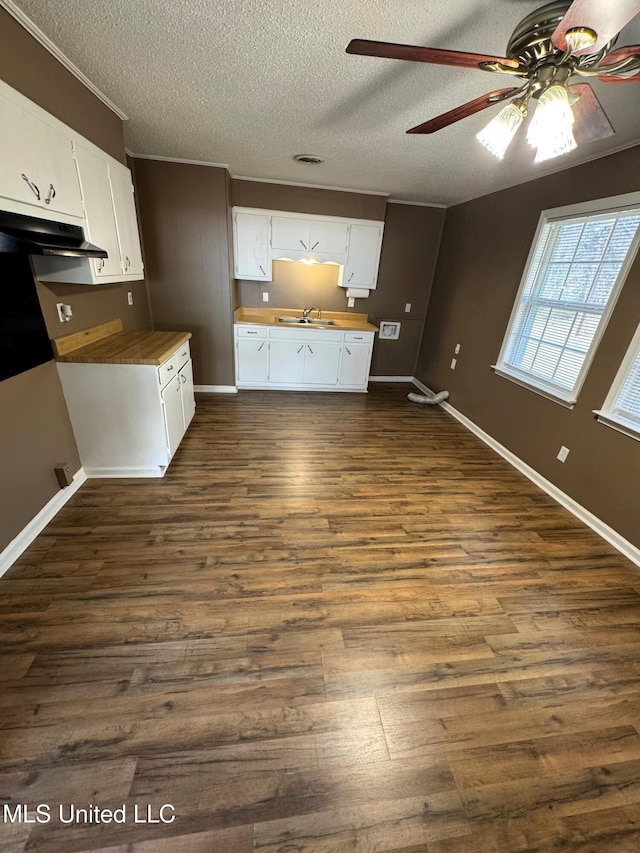 kitchen with a ceiling fan, dark wood-style floors, under cabinet range hood, and wooden counters