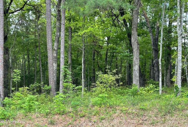 0 Vine Dr, Flowood MS, 39232 land for sale