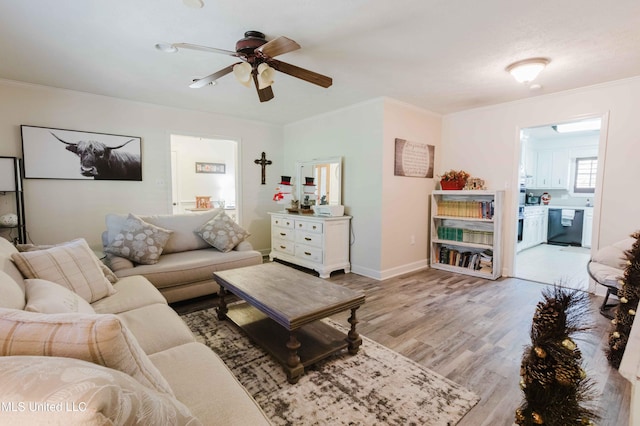 living room featuring crown molding, ceiling fan, and light wood-type flooring