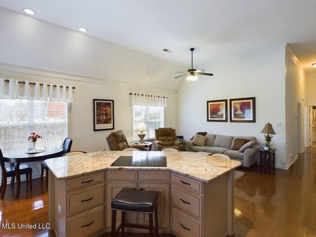 kitchen with a kitchen bar, open floor plan, dark wood finished floors, and a center island