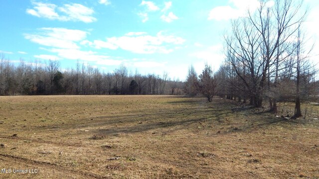 2450 Longtown Rd, Sarah, MS 38665