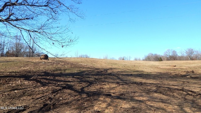 2450 Longtown Rd, Sarah, MS 38665