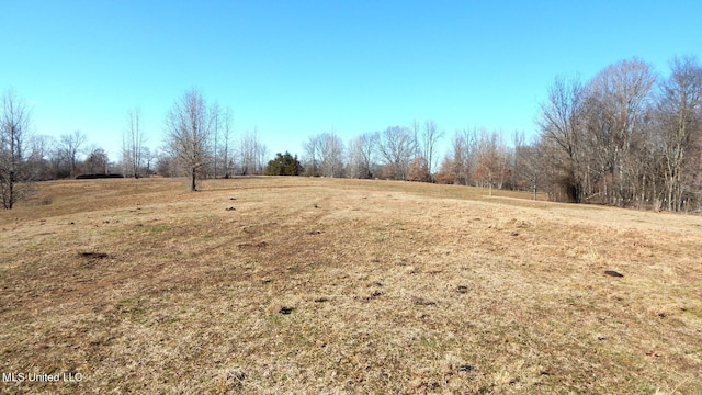 2450 Longtown Rd, Sarah, MS 38665
