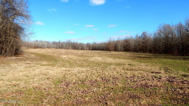 2450 Longtown Rd, Sarah, MS 38665