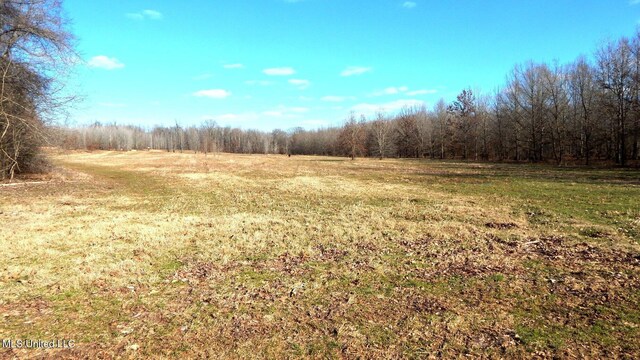 2450 Longtown Rd, Sarah, MS 38665
