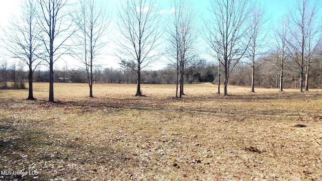 2450 Longtown Rd, Sarah, MS 38665