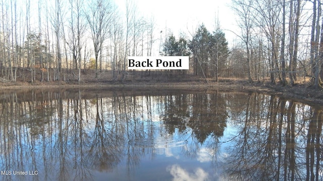 2450 Longtown Rd, Sarah, MS 38665