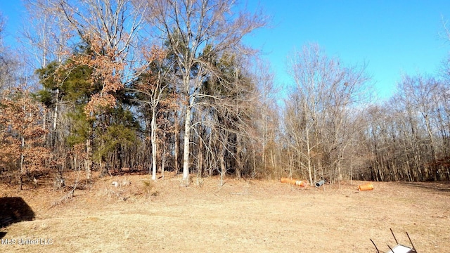 2450 Longtown Rd, Sarah, MS 38665