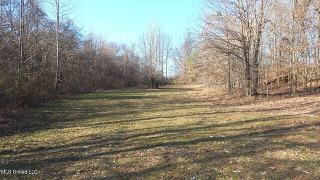 2450 Longtown Rd, Sarah, MS 38665