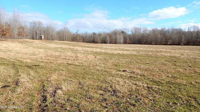 2450 Longtown Rd, Sarah, MS 38665