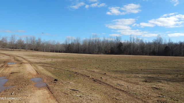 2450 Longtown Rd, Sarah, MS 38665