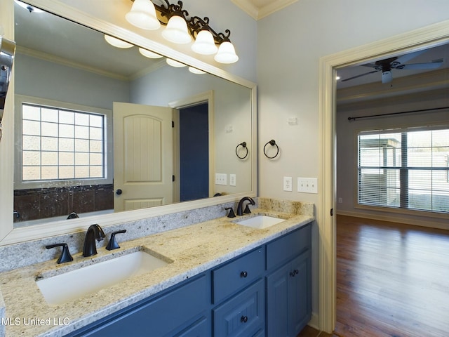 bathroom featuring crown molding, wood-type flooring, and vanity