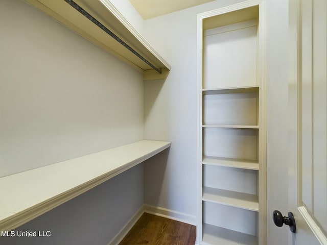 spacious closet featuring dark hardwood / wood-style floors