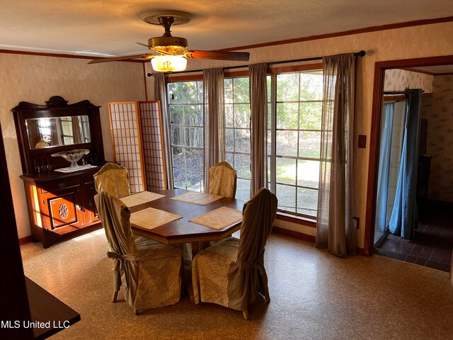 dining area with ceiling fan, crown molding, and a textured ceiling