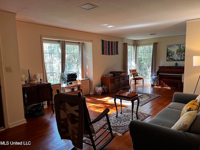 living room with dark wood-type flooring