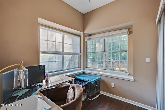 office with baseboards and wood finished floors