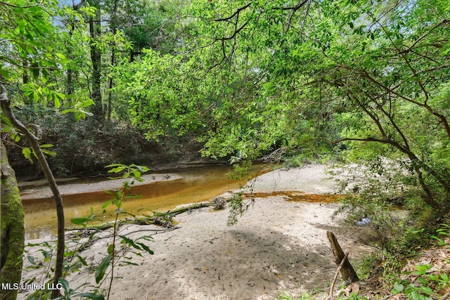 19639 Laterre Dr, Kiln, MS 39556 - view of yard