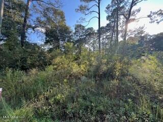 LOT2877 Persimmon Ave, Ocean Springs MS, 39564 land for sale