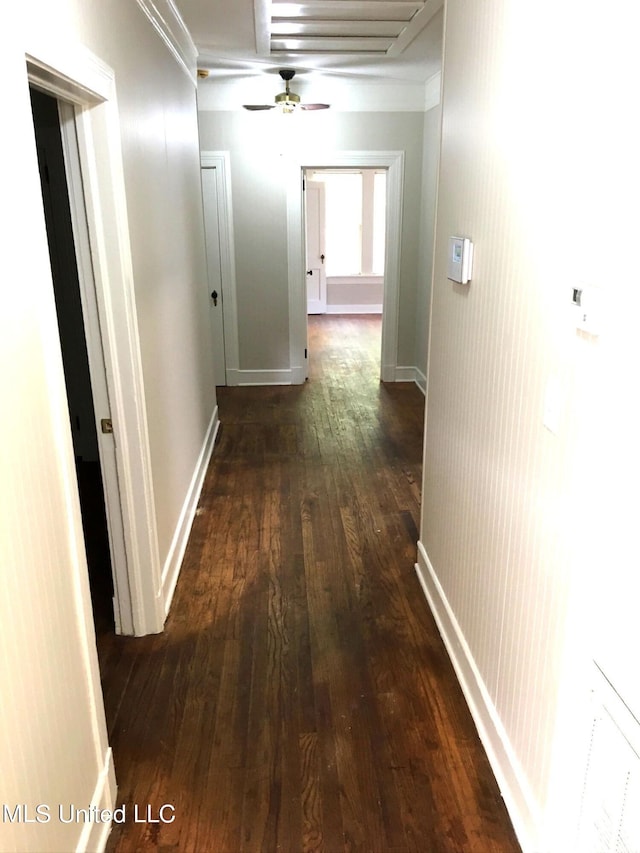 corridor featuring crown molding and dark hardwood / wood-style floors