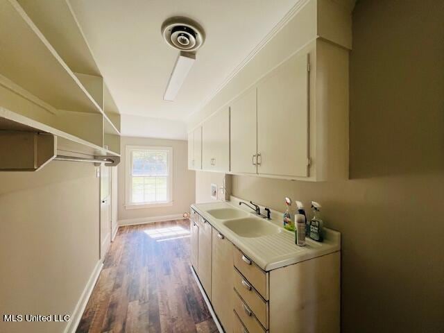 washroom featuring sink and dark wood-type flooring