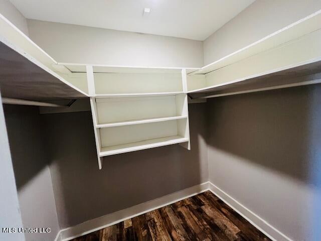 walk in closet with dark hardwood / wood-style flooring