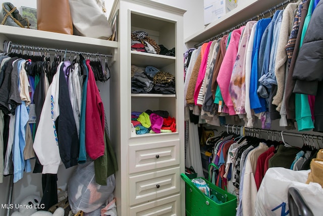 view of spacious closet