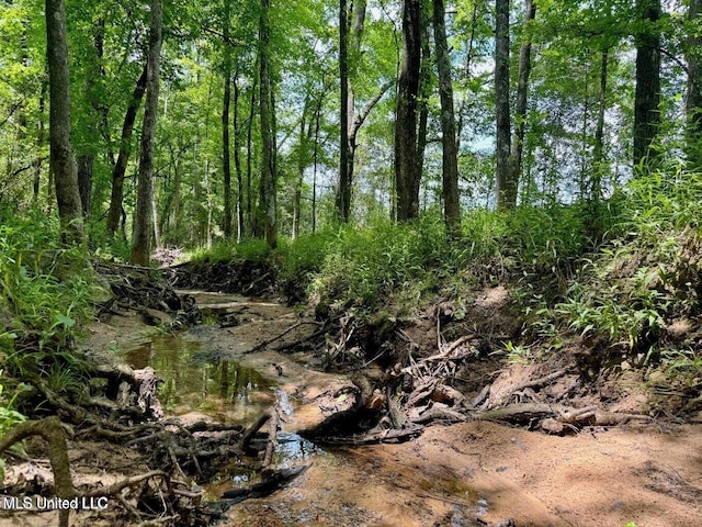 0005 Renfroe Rd, Canton, MS 39046