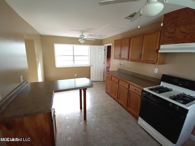 kitchen with ceiling fan and gas range gas stove