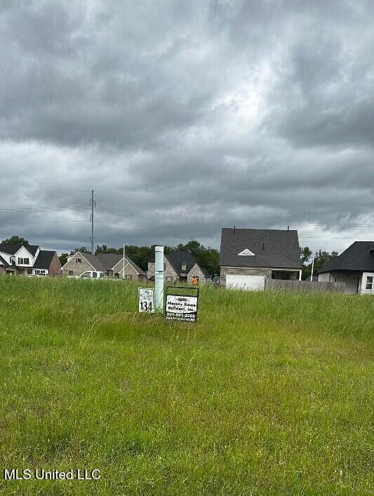 3492 Hatton Dr, Nesbit MS, 38651 land for sale