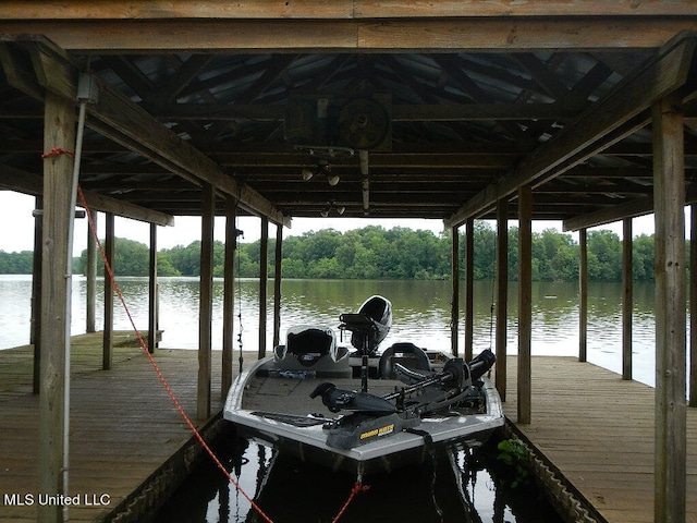 dock area with a water view