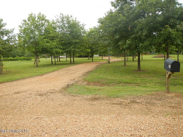 view of community featuring a lawn