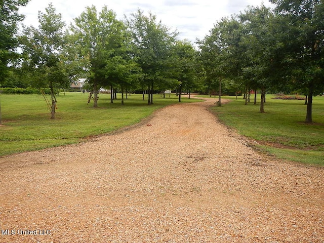 view of community featuring a yard