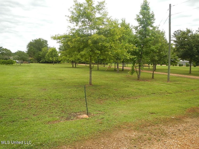 view of property's community with a lawn